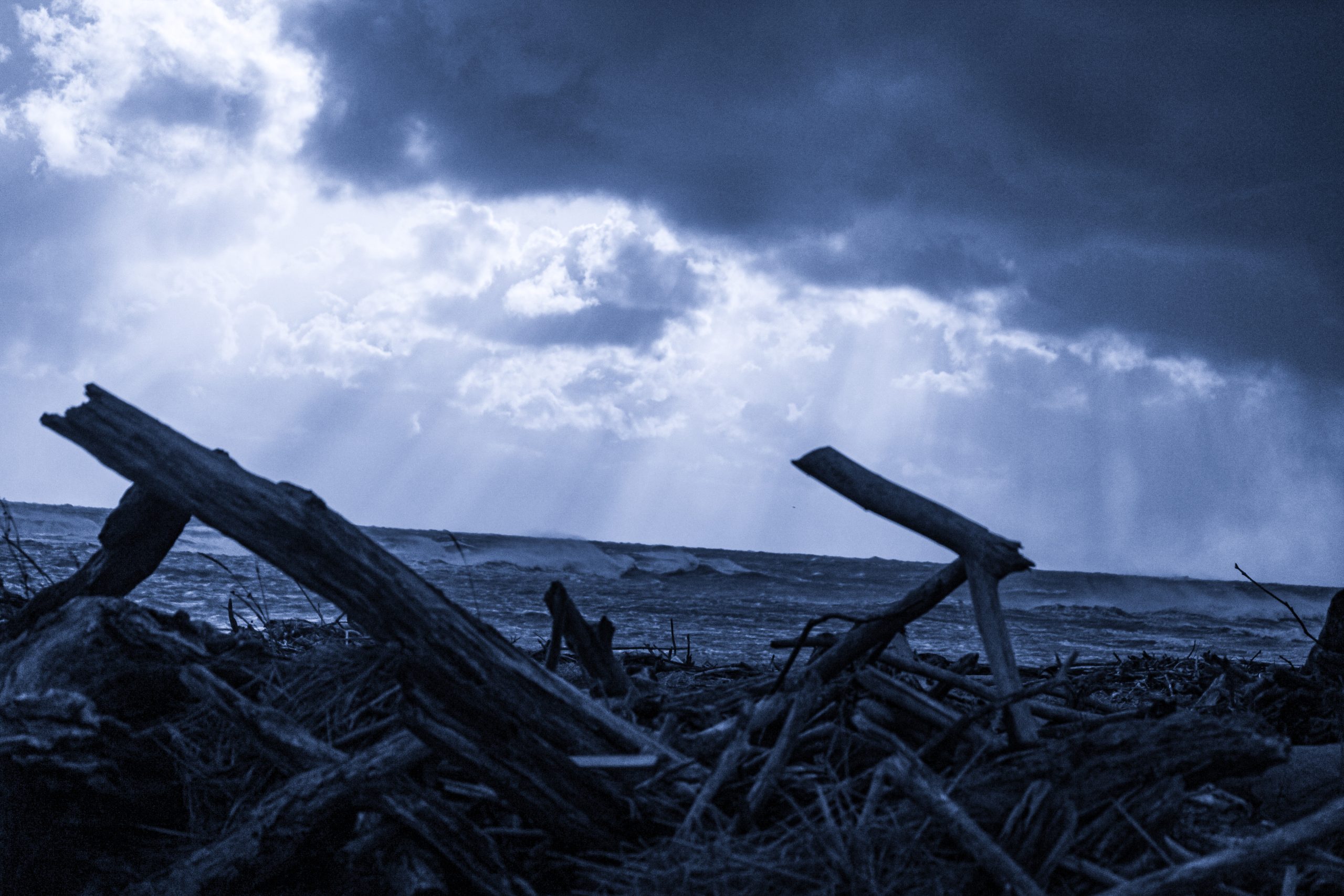 VUCA時代の挑戦～覚悟と努力の必要性～