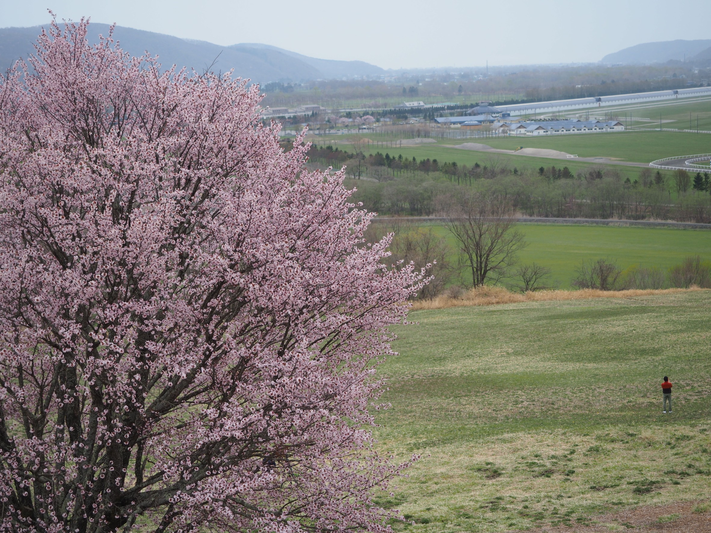 ウチの存在理由～浦河でやる理由～