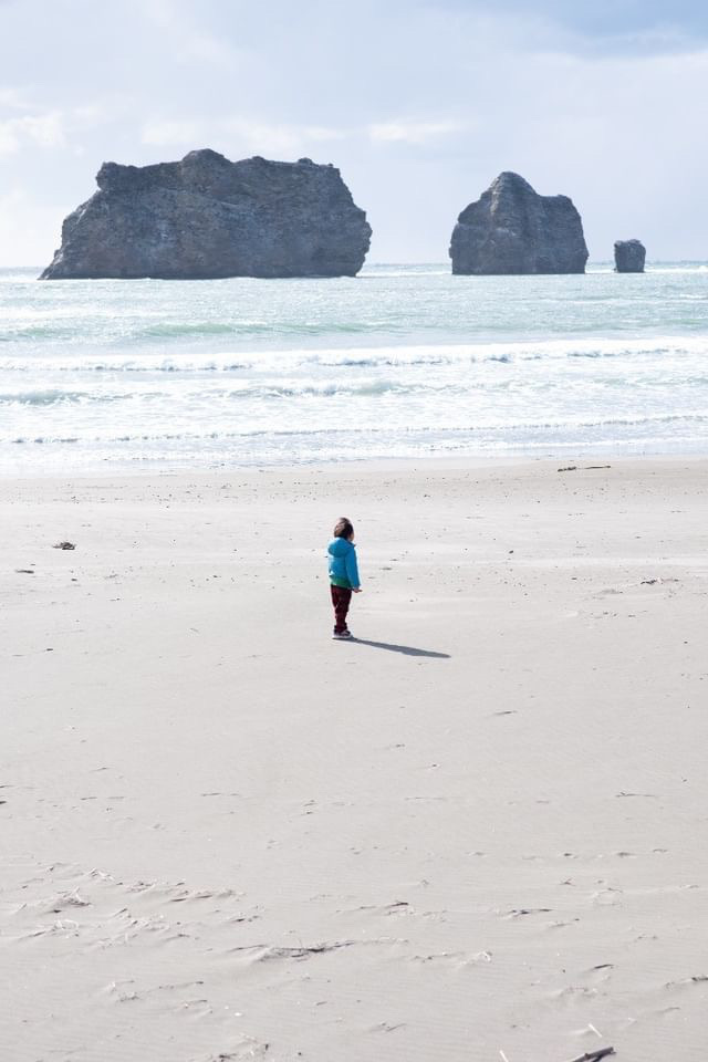きれいごとを本気でやる