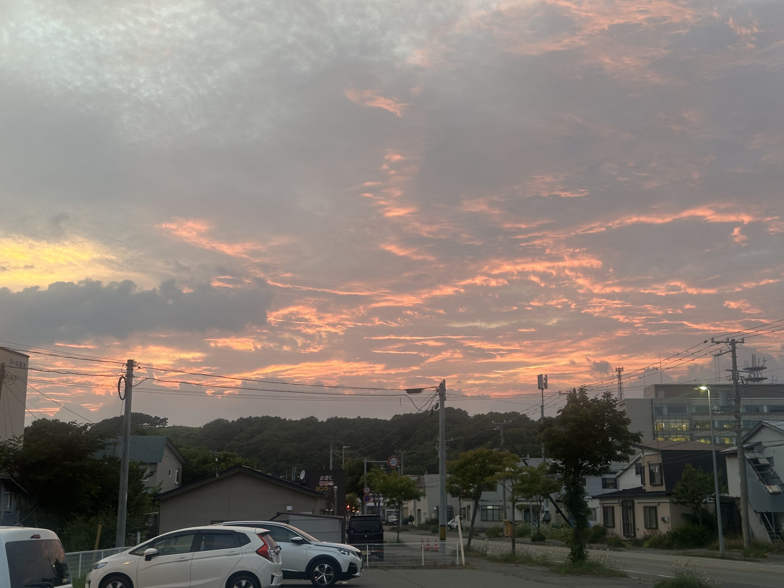 立ち止まるも行動。では行動の反対語は？