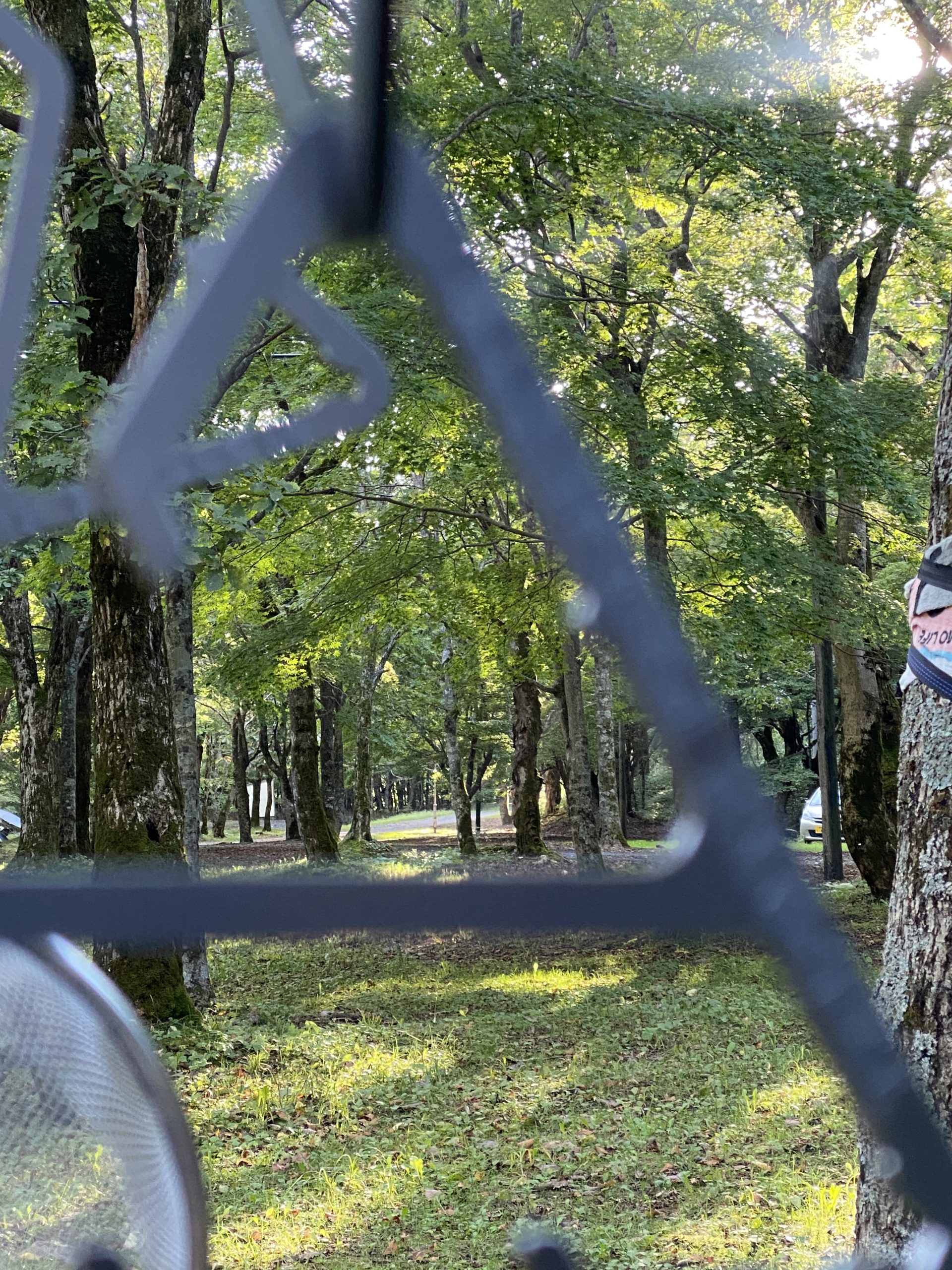 労働力不足の地方でのキャリア選択