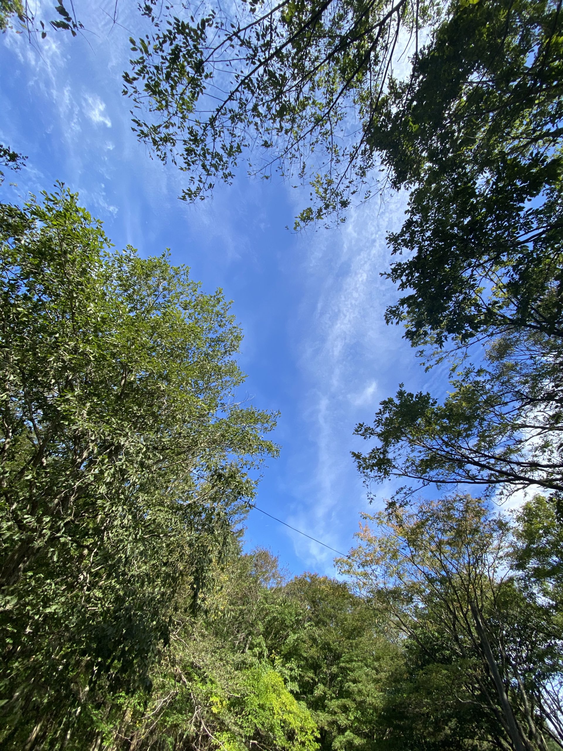 浦河における夏のすごし方を考える