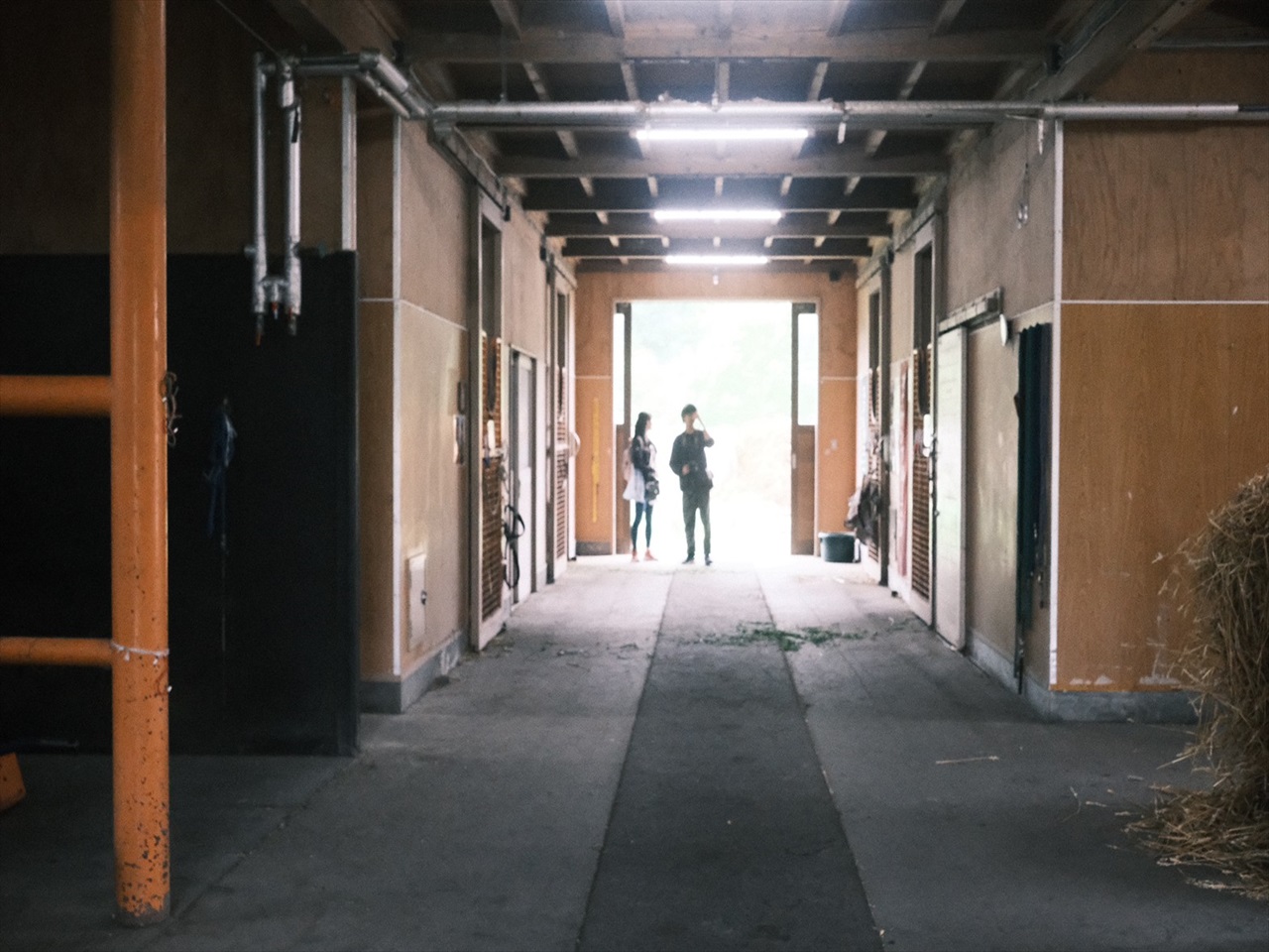 若者の力を借りる～助けてもらう～