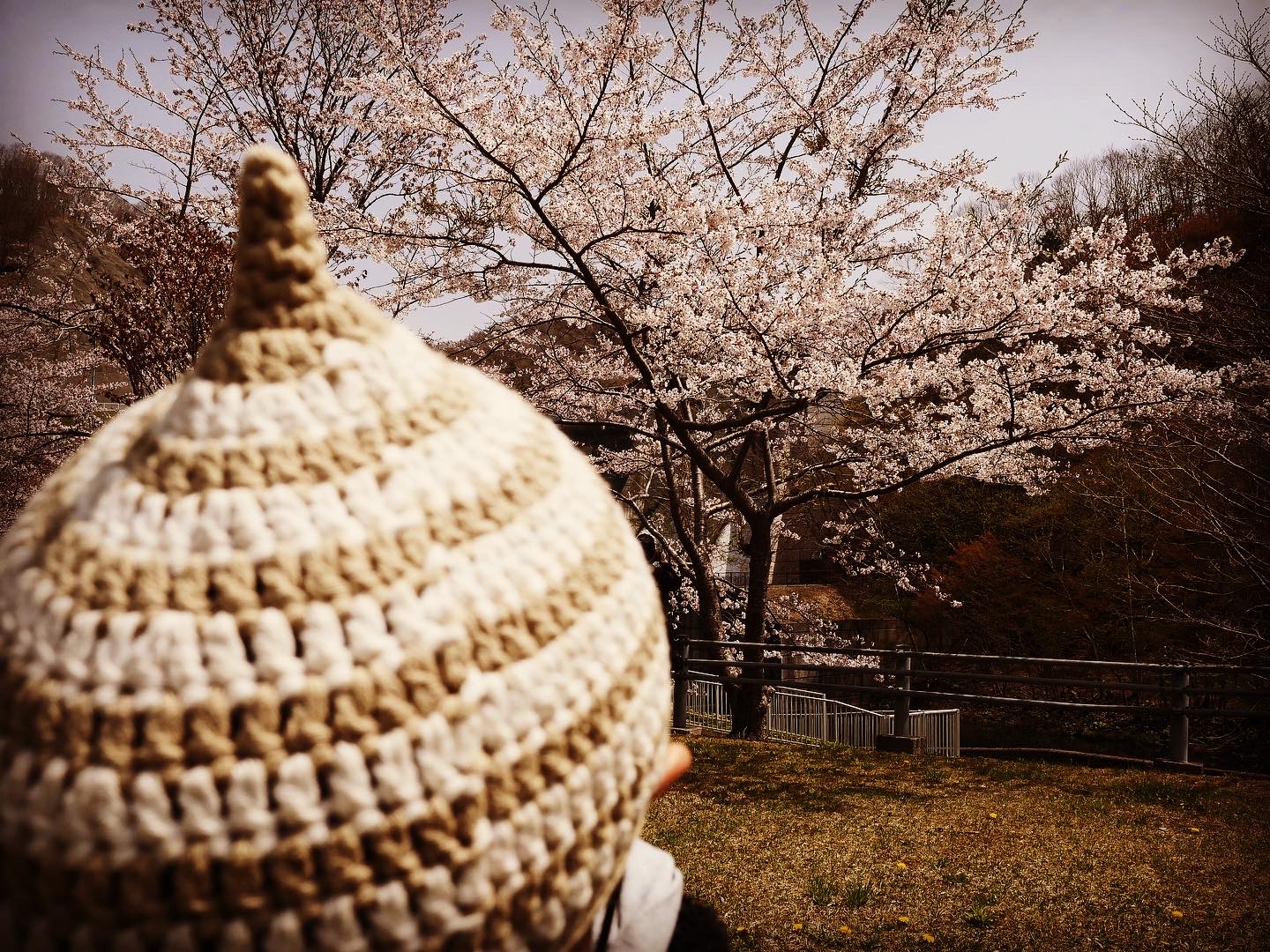 エピソードとして言える時