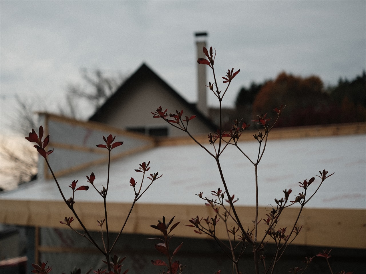 大事な事はたいてい面倒くさい