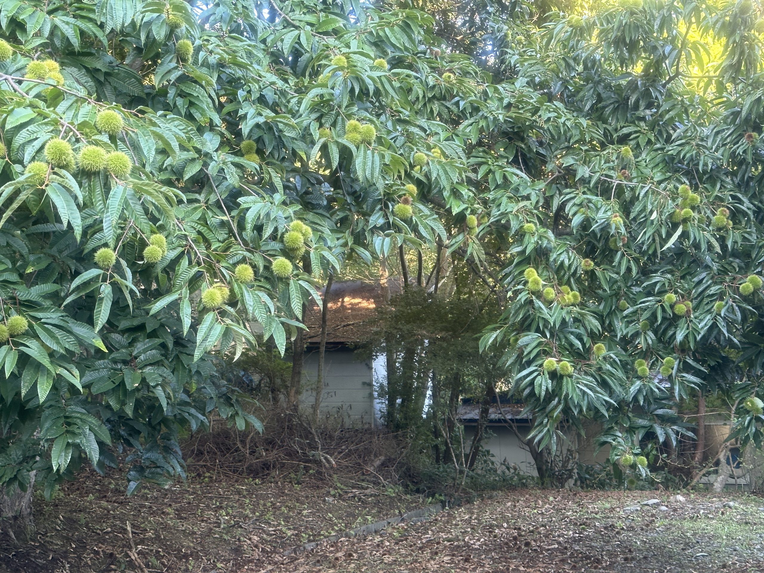 冬支度〜ある休日の過ごし方〜