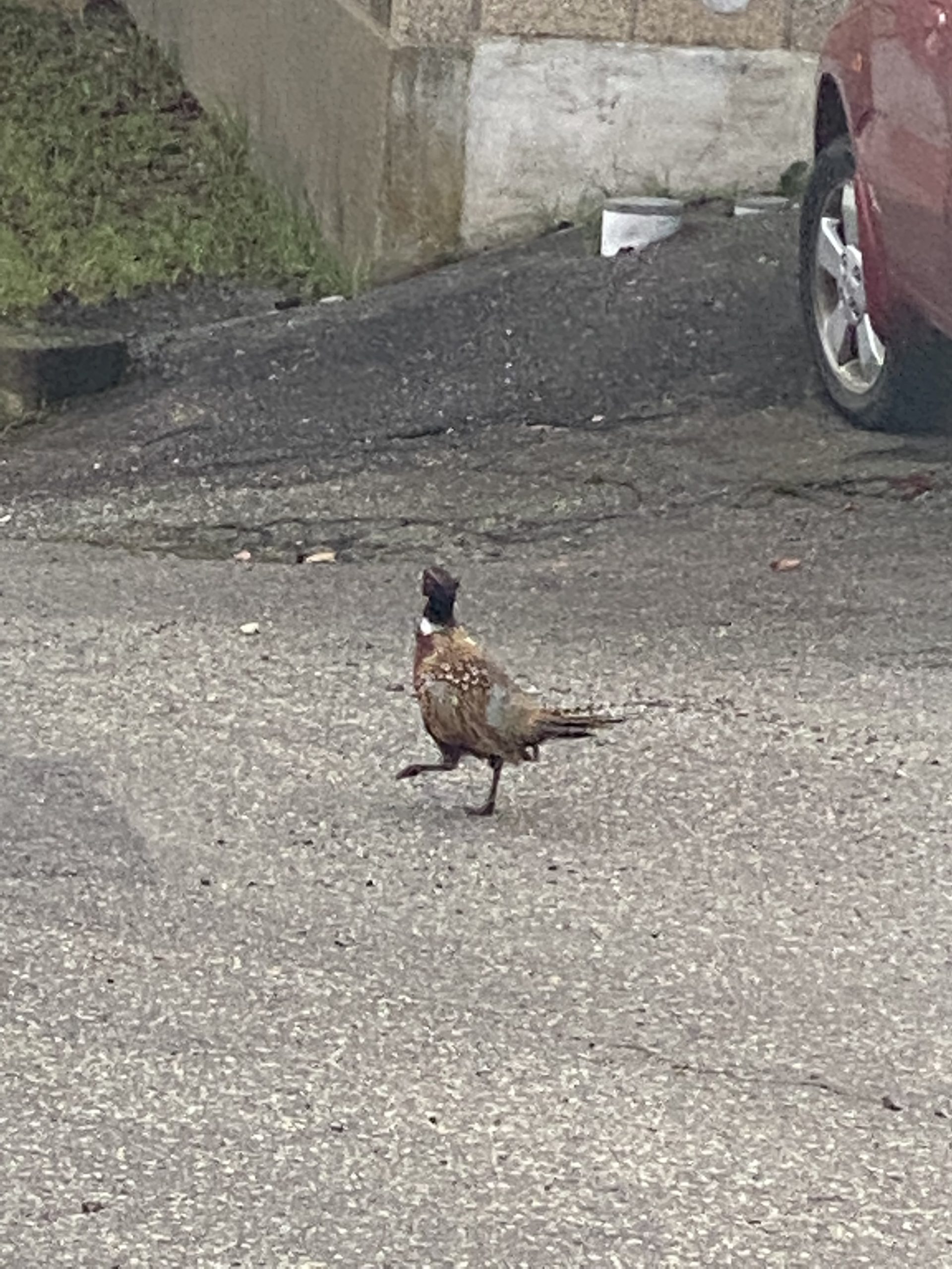 思いがけずを大切にする