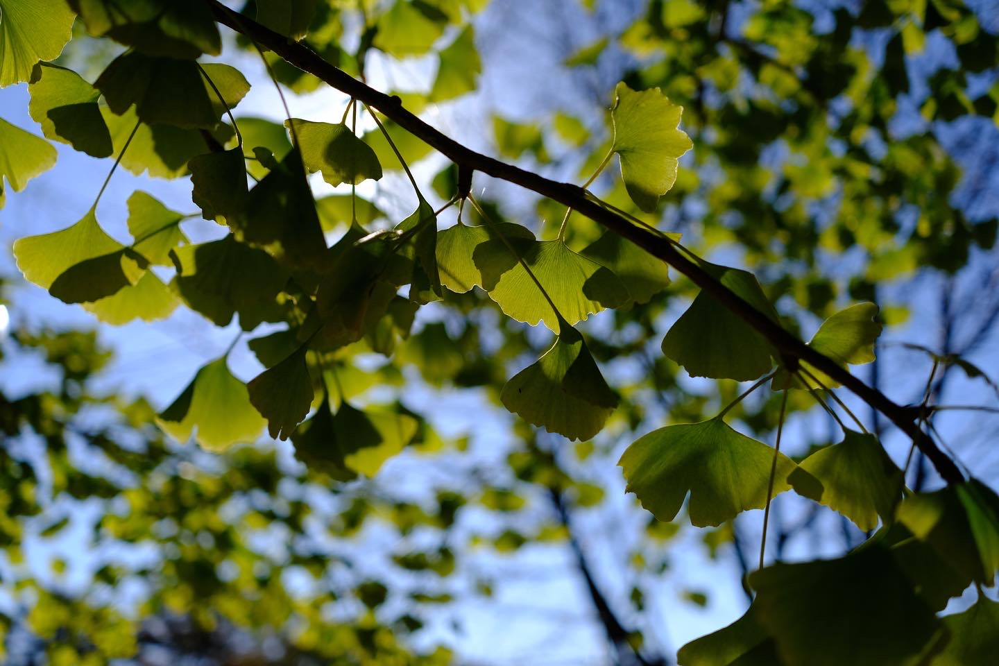 仕事を通じて豊かさを追求する方法～就活と転職での秘訣～