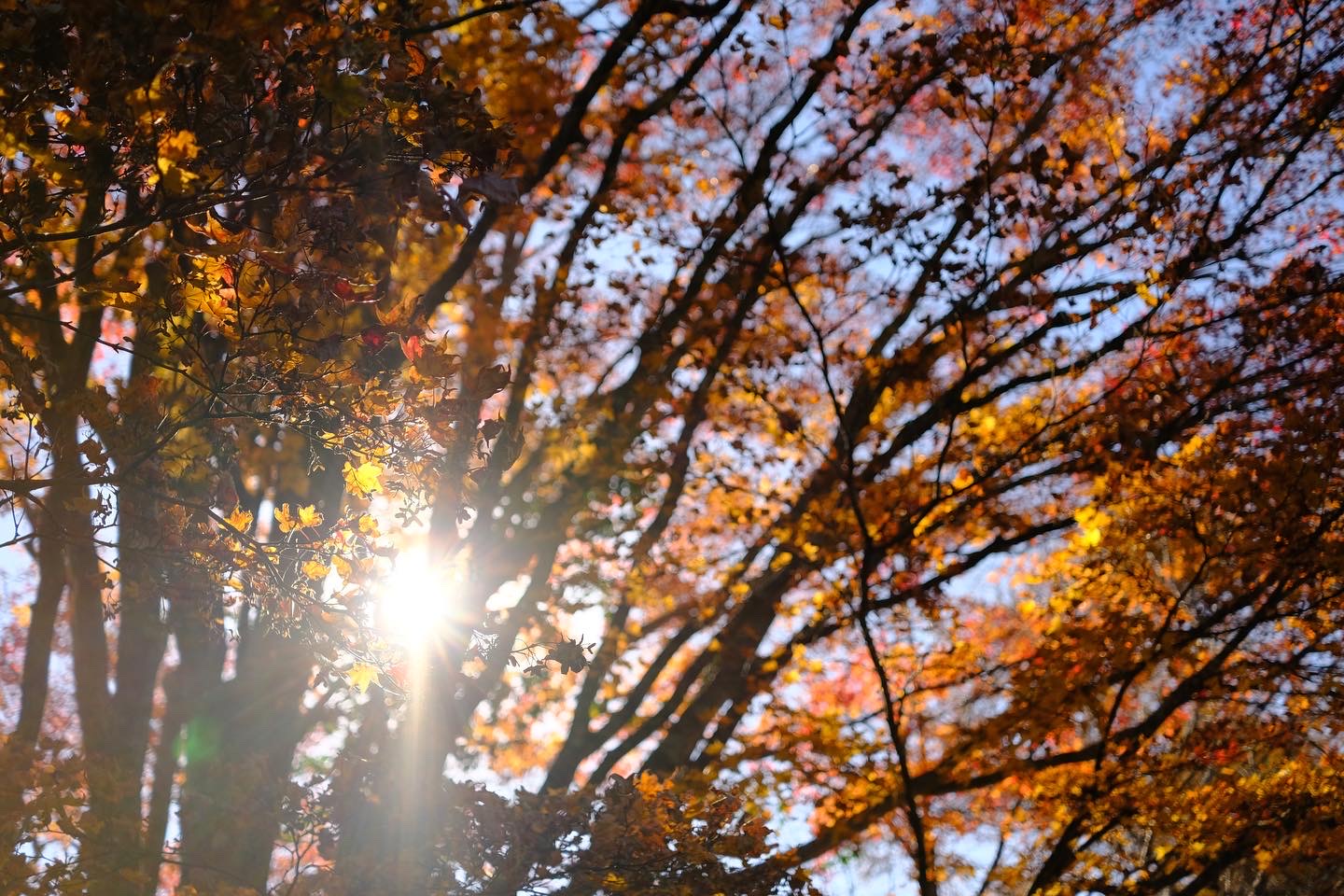 緊急性は低いが重要な事