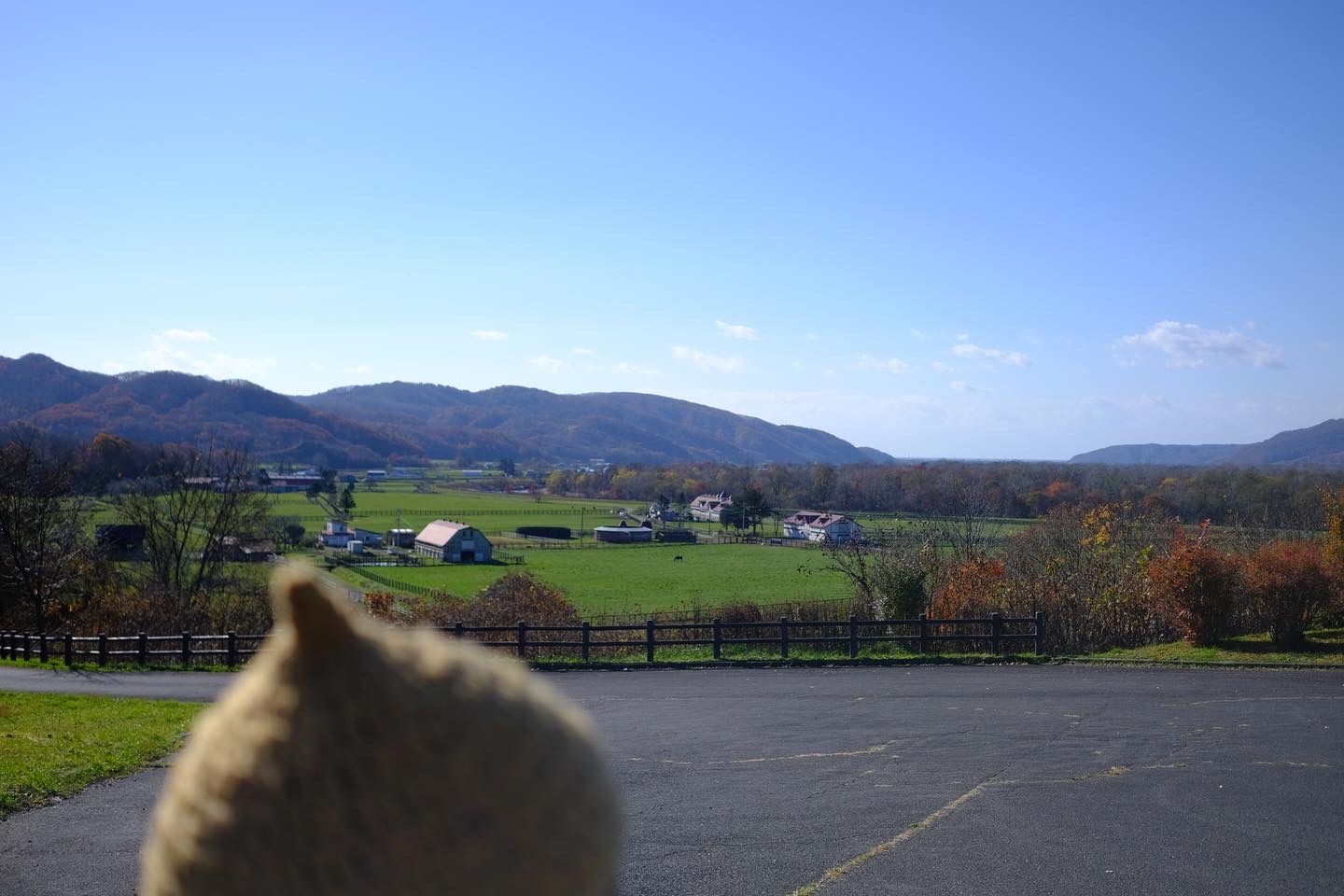 住みやすい地域を守る～地域工務店の存在意義～