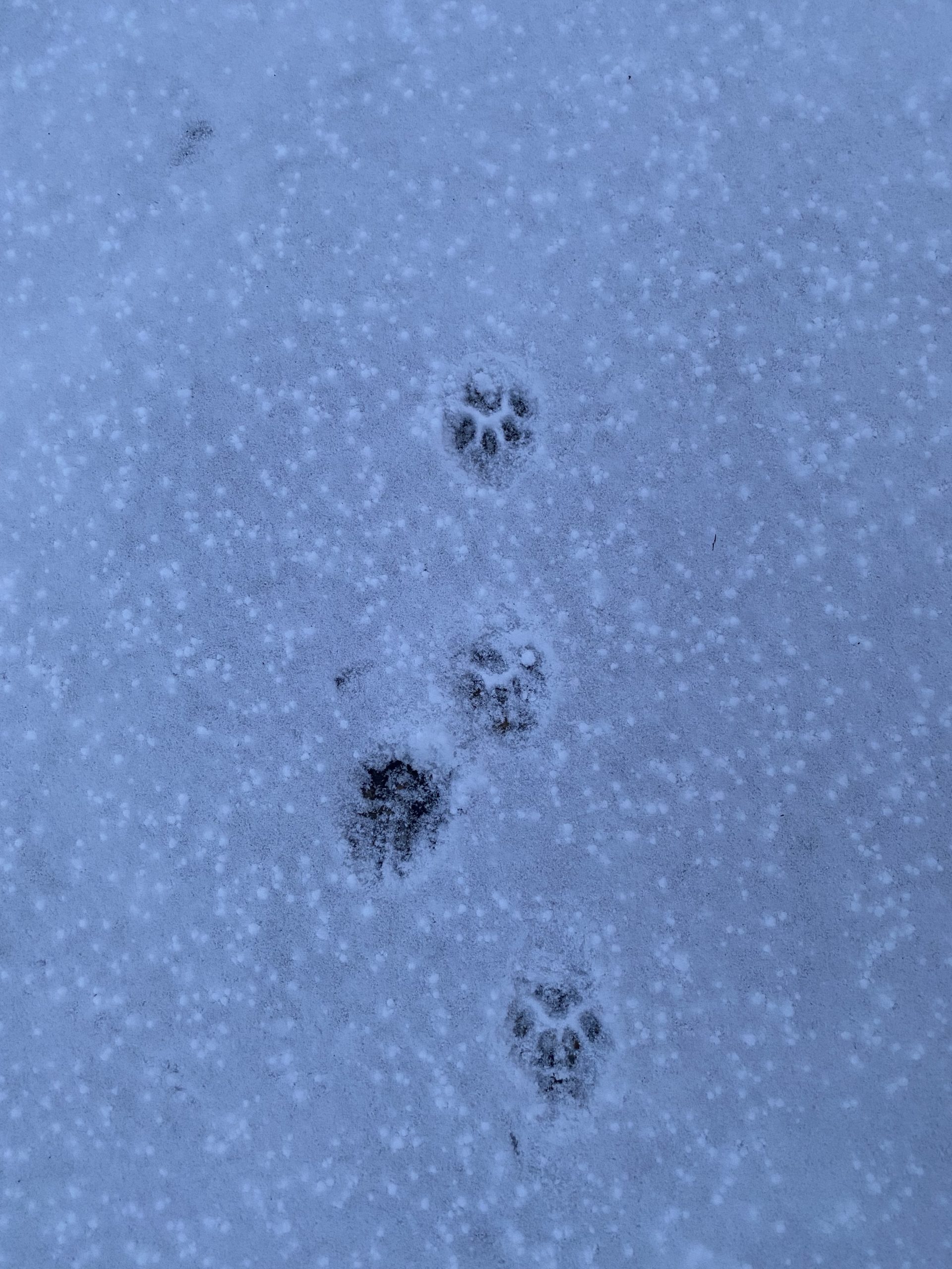 大転職時代と人材争奪戦～住宅産業大予想より～
