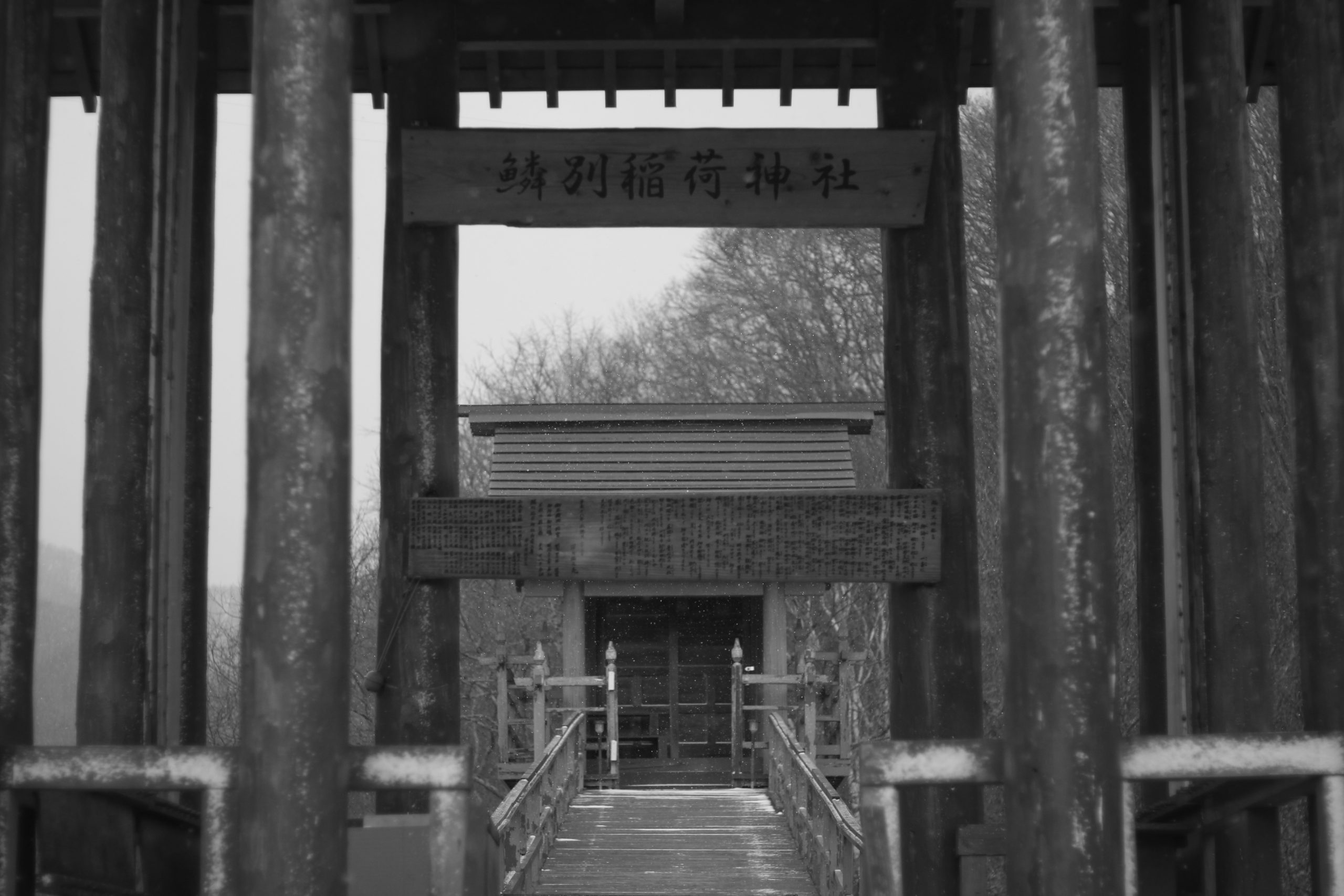 情報をオープンにする事で生まれたもの