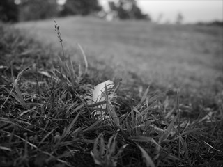 強い企業とは？～経理もしくは会計ではなく財務が大切～