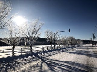 明日からインターンシップ！