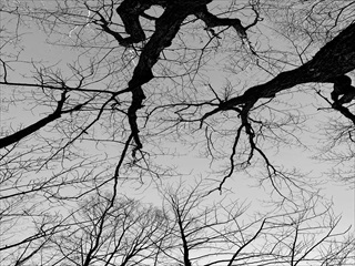 できる事から初めて、続ける。なにが何でも続ける。