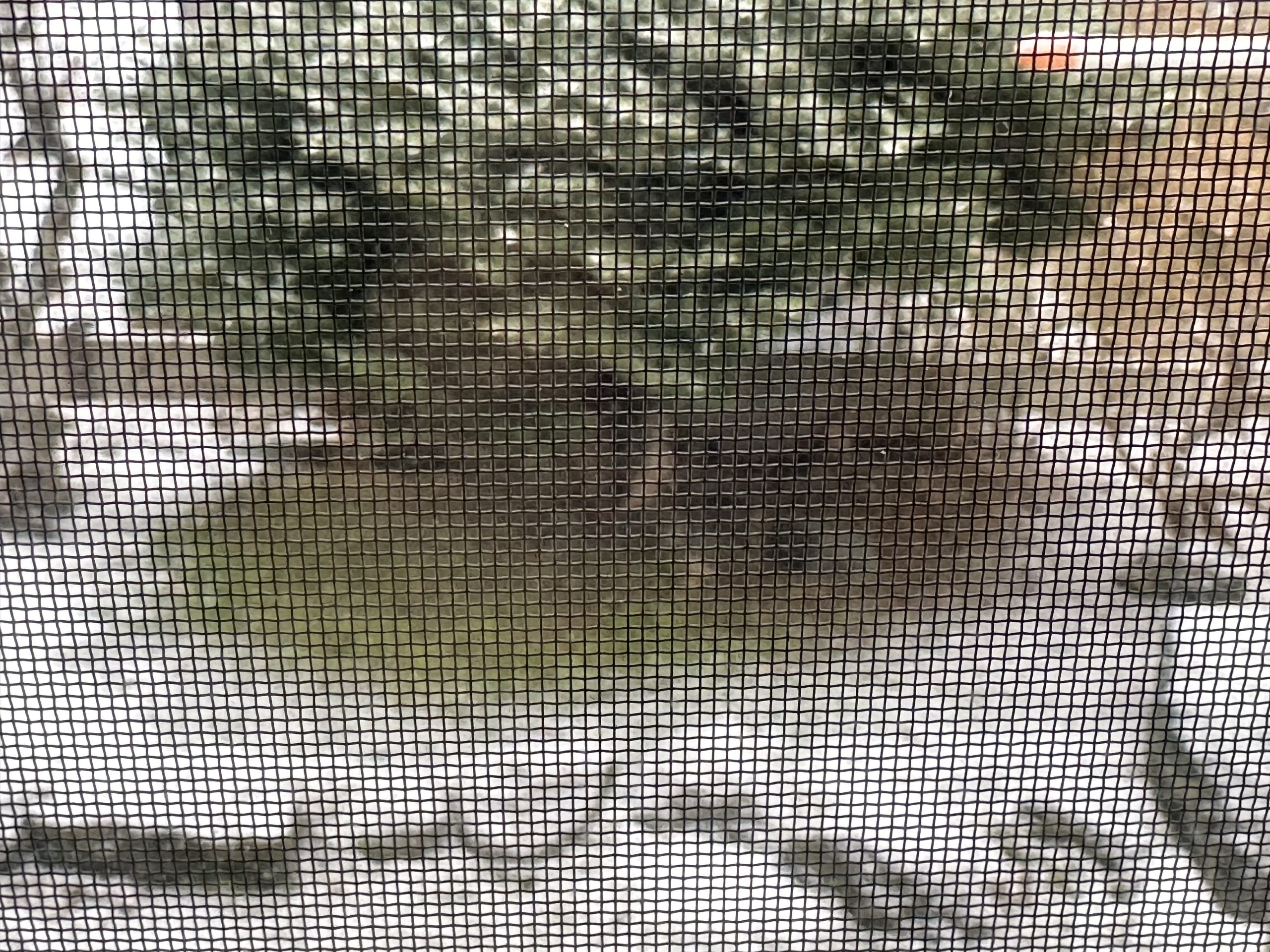 2023年振り返り～シンカと学習～