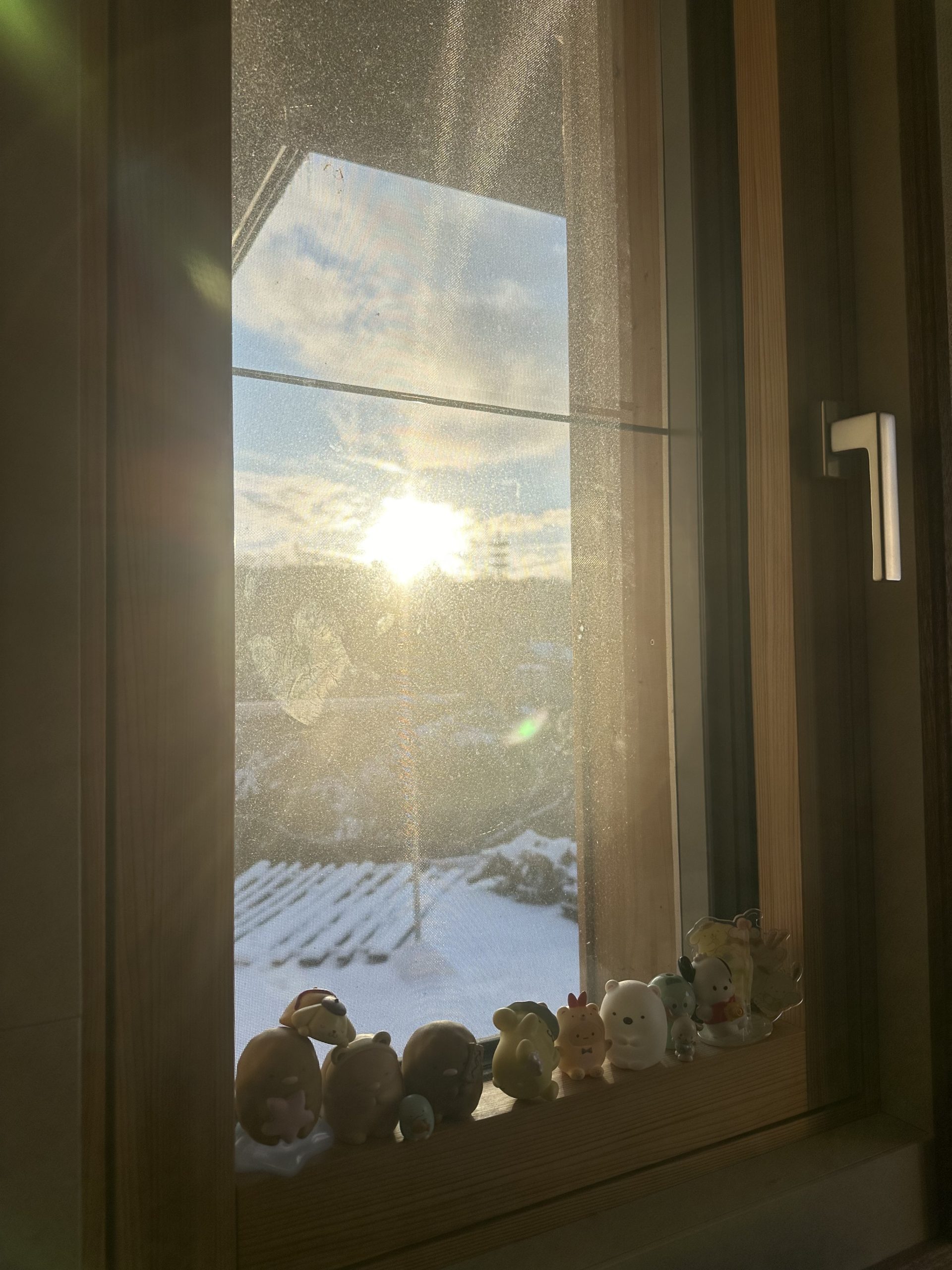 2024年明けました！