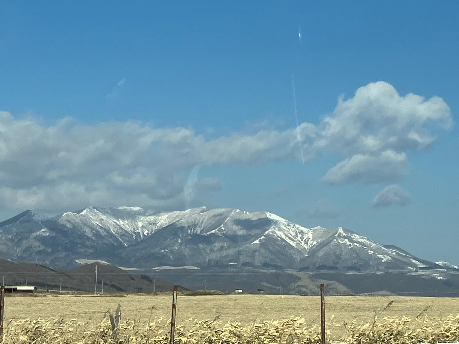 新年度の始まりにした事