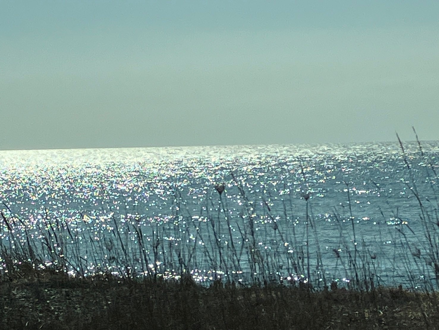 若者達と過ごしたキラキラした日常