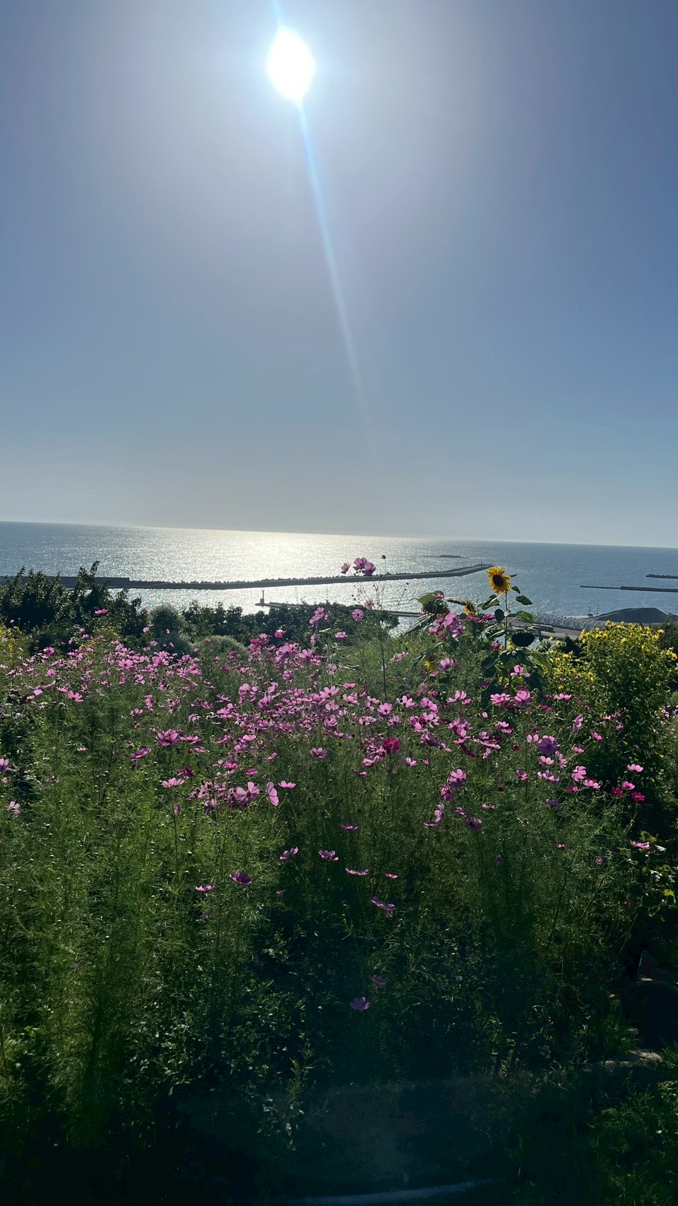観光じゃなく“日常”にある、浦河のとっておき