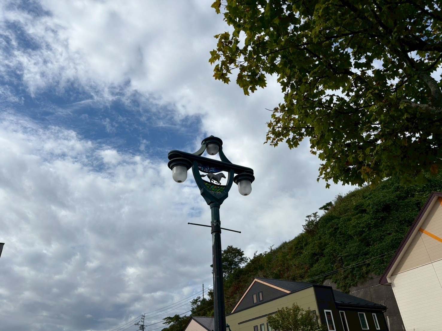 馬とマチ〜温暖な気候がそうさせる？