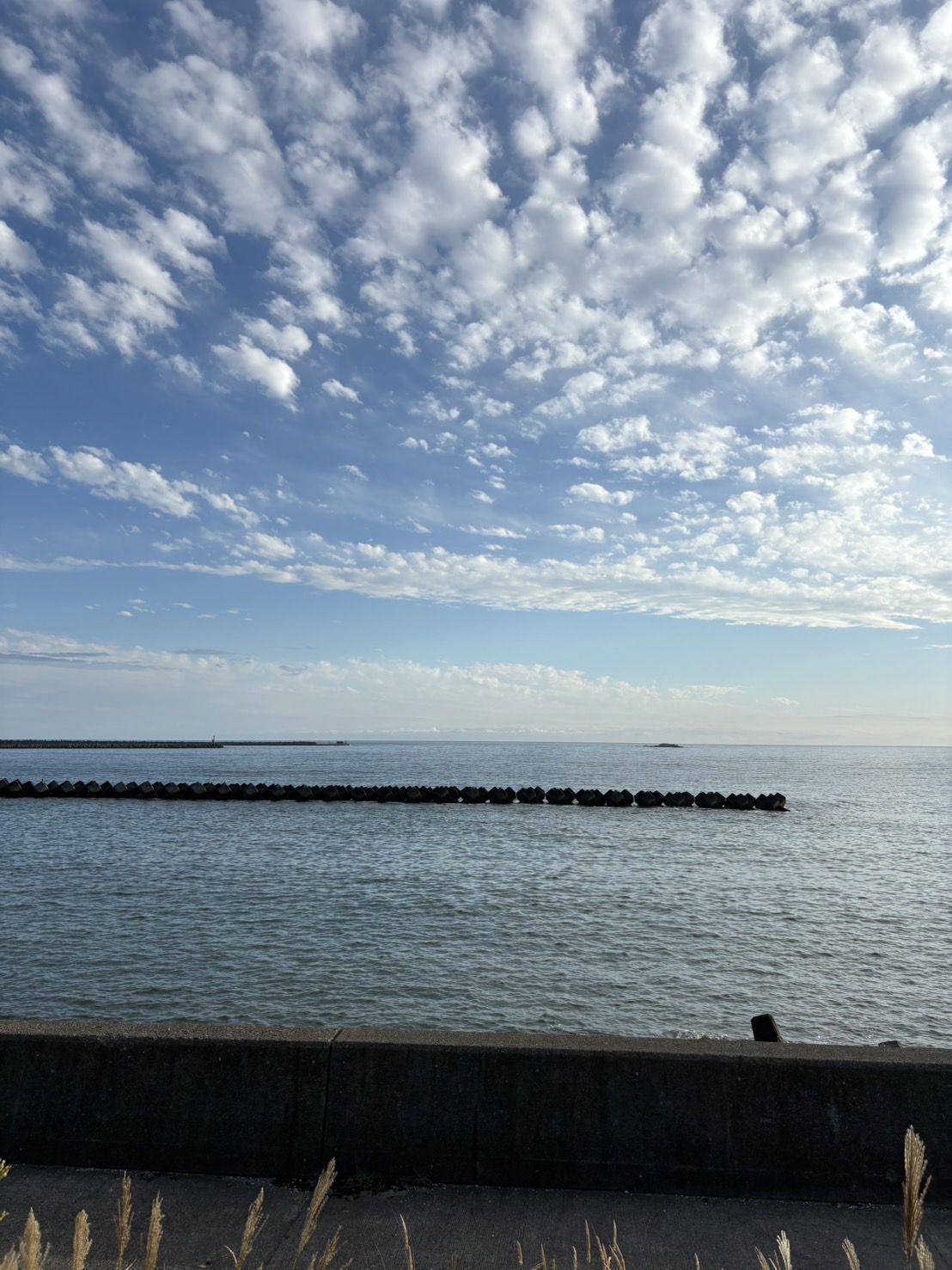 未来のために〜五方よしという判断基準