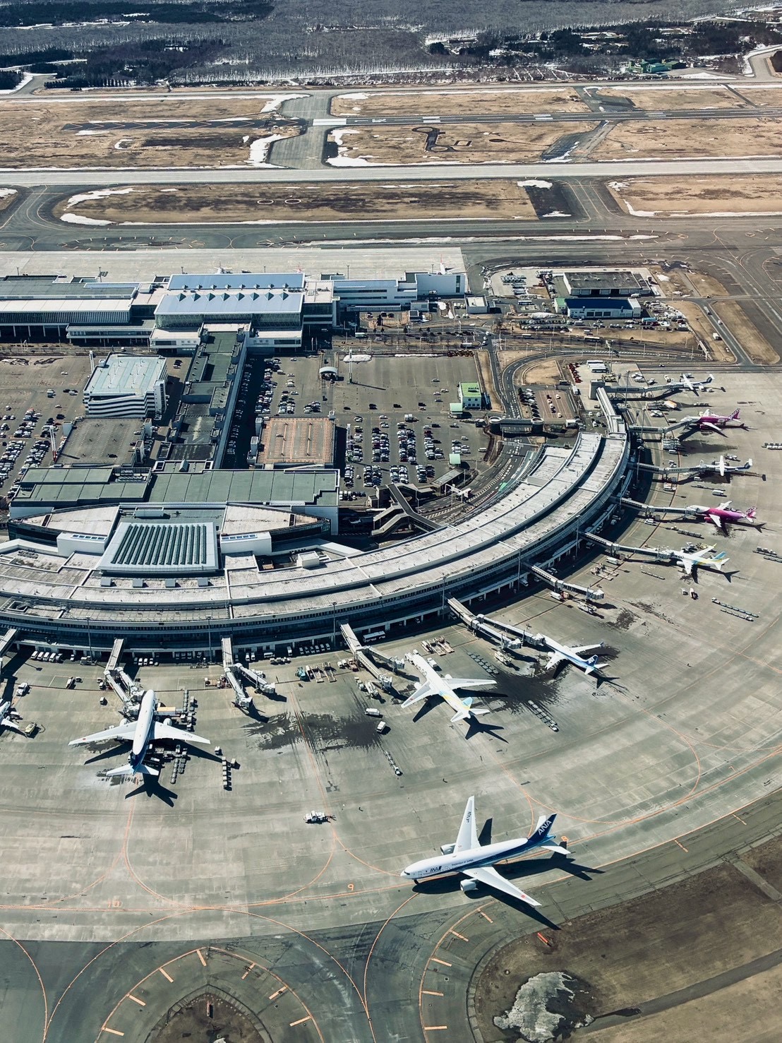 浦河に来て変わったこと