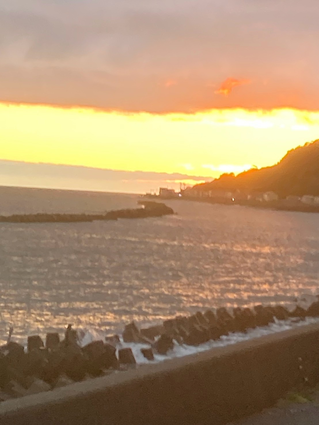浦河町で見つけた、自分と向き合う時間～札幌から来て感じた街の魅力【インターン体験記①】