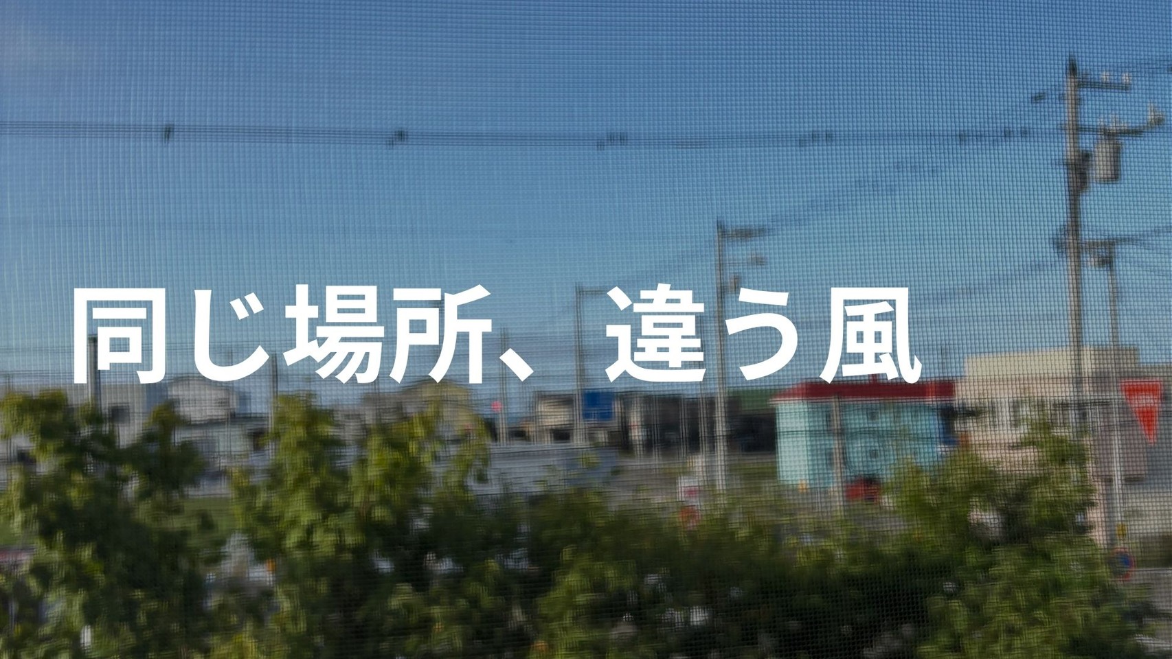 さくらのブログ⑦同じ場所、違う風