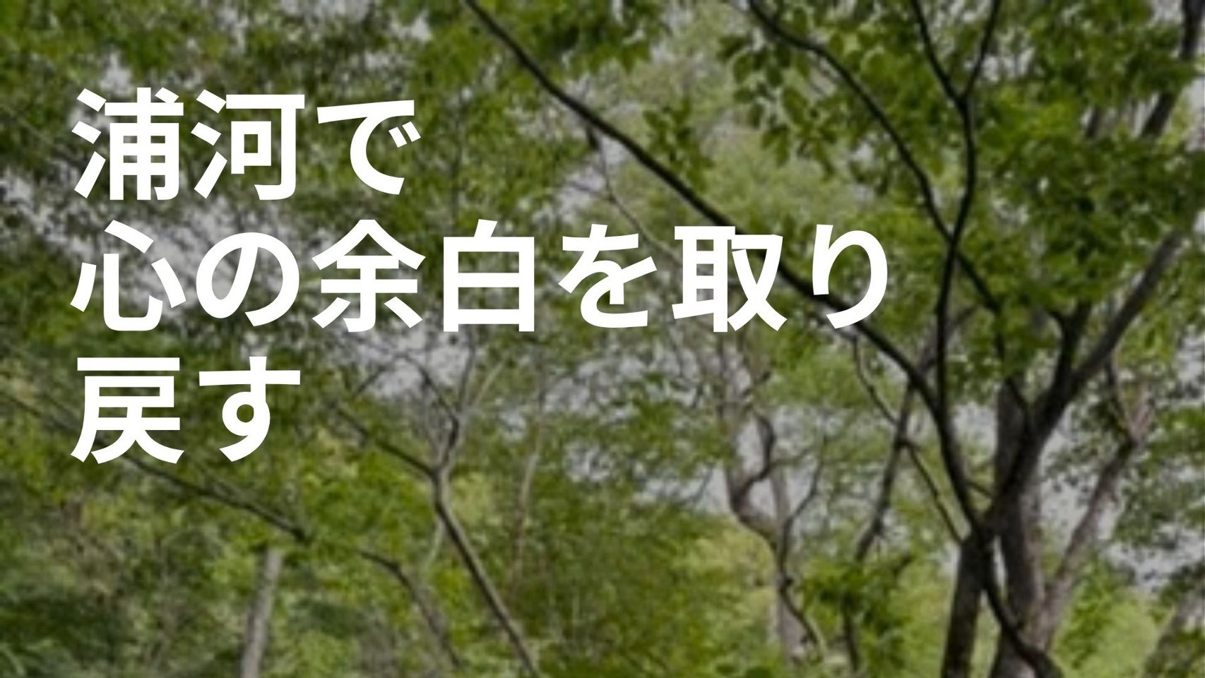 さくらのブログ①浦河で心の余白を取り戻す