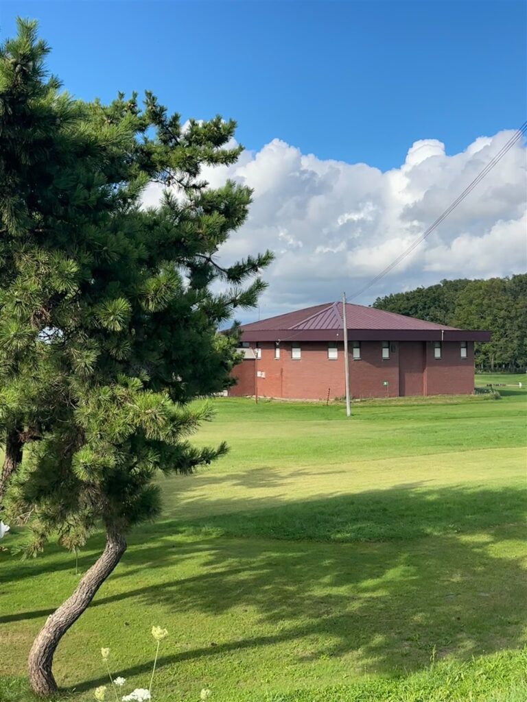 松の木と芝生が広がる浦河の公園